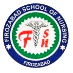 FSN logo
