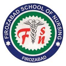 Firozabad School of Nursing logo